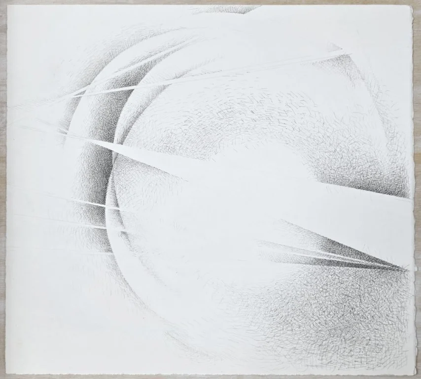  Christine Taylor Patten oh no you don’t (Peace Preliminary #23) November 2018 10 x 11 inches&nbsp; Crowquill, ink, paper    