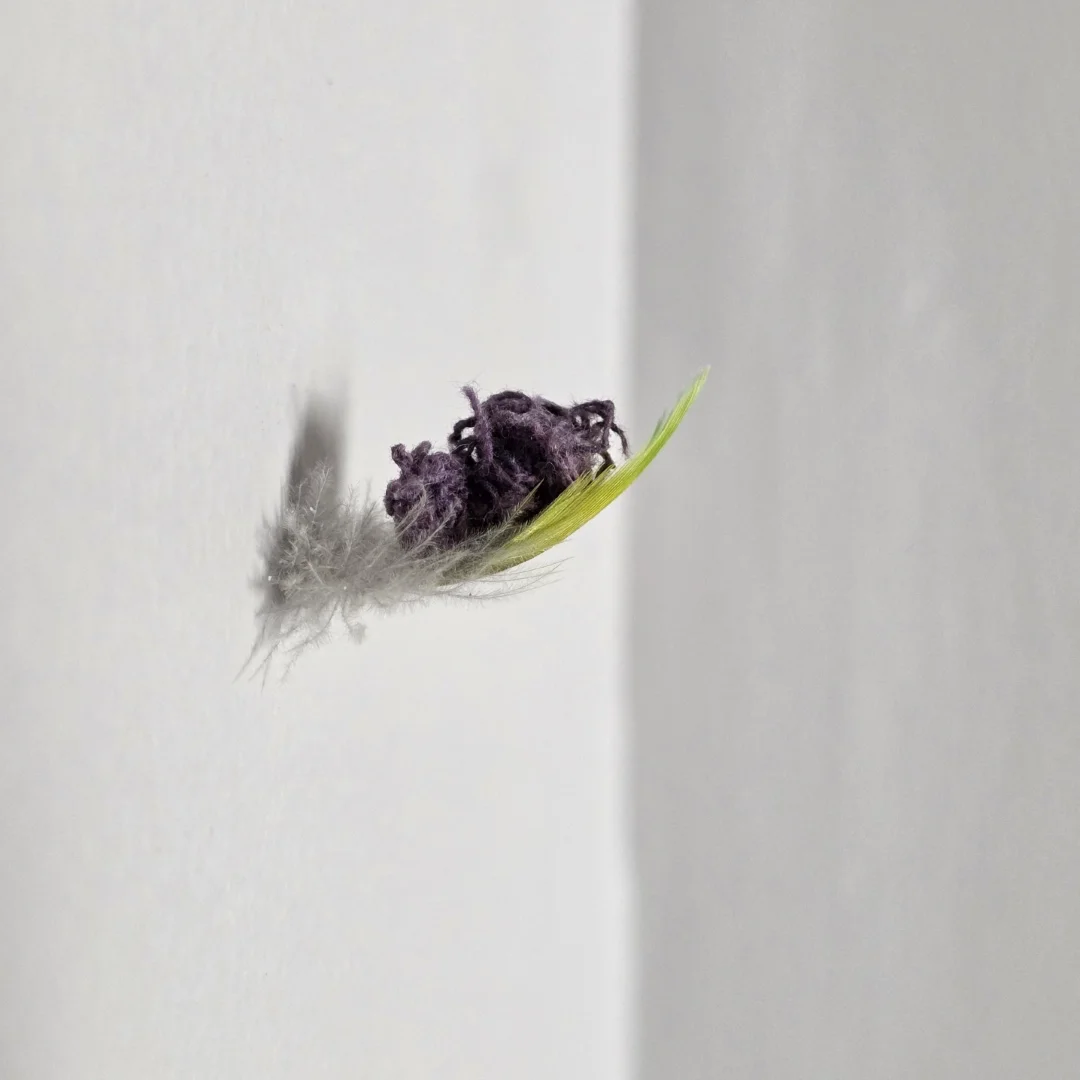  Brandon Behning | compulsory construction | psittaciform residuum |  (A single word for sensations accompanying the sudden realization that if anything were ever to happen to him, I might never find out.)  