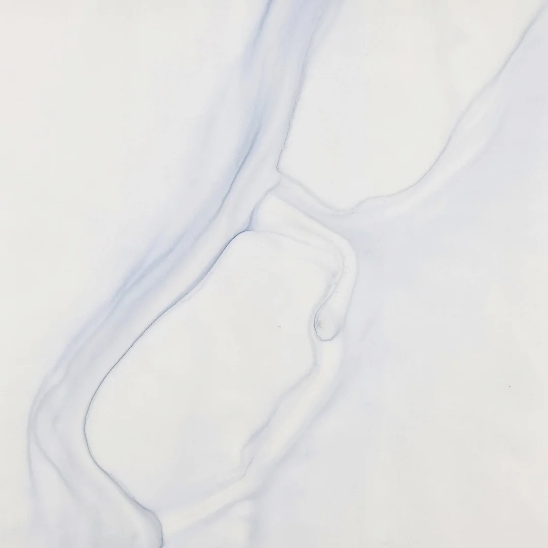 Dara Mark | Holotropic #6 | detail  