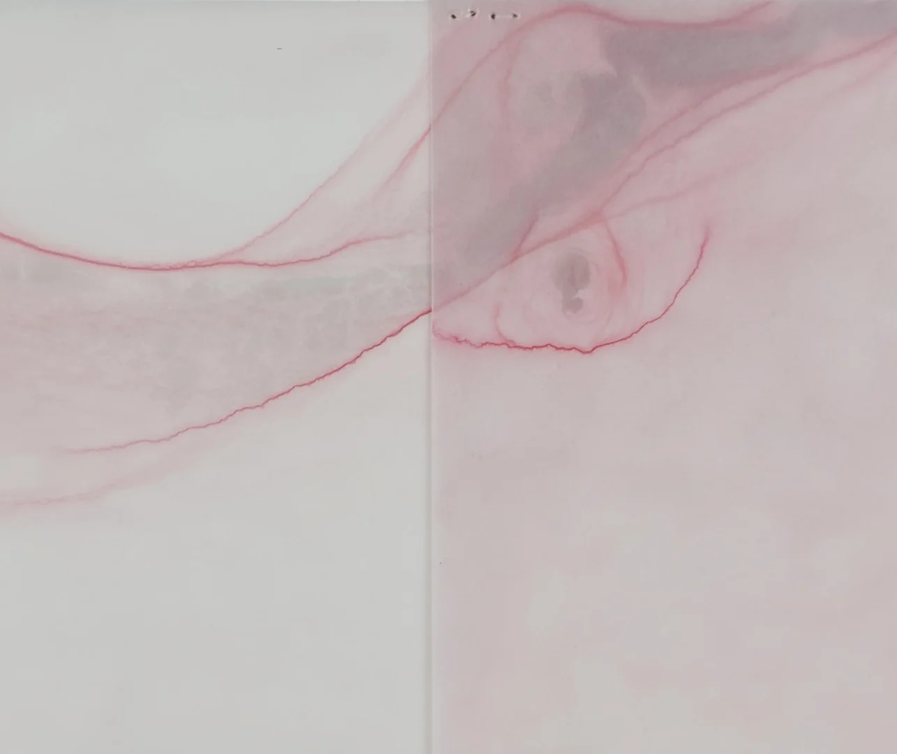 Dara Mark | Perylene #1 | detail 