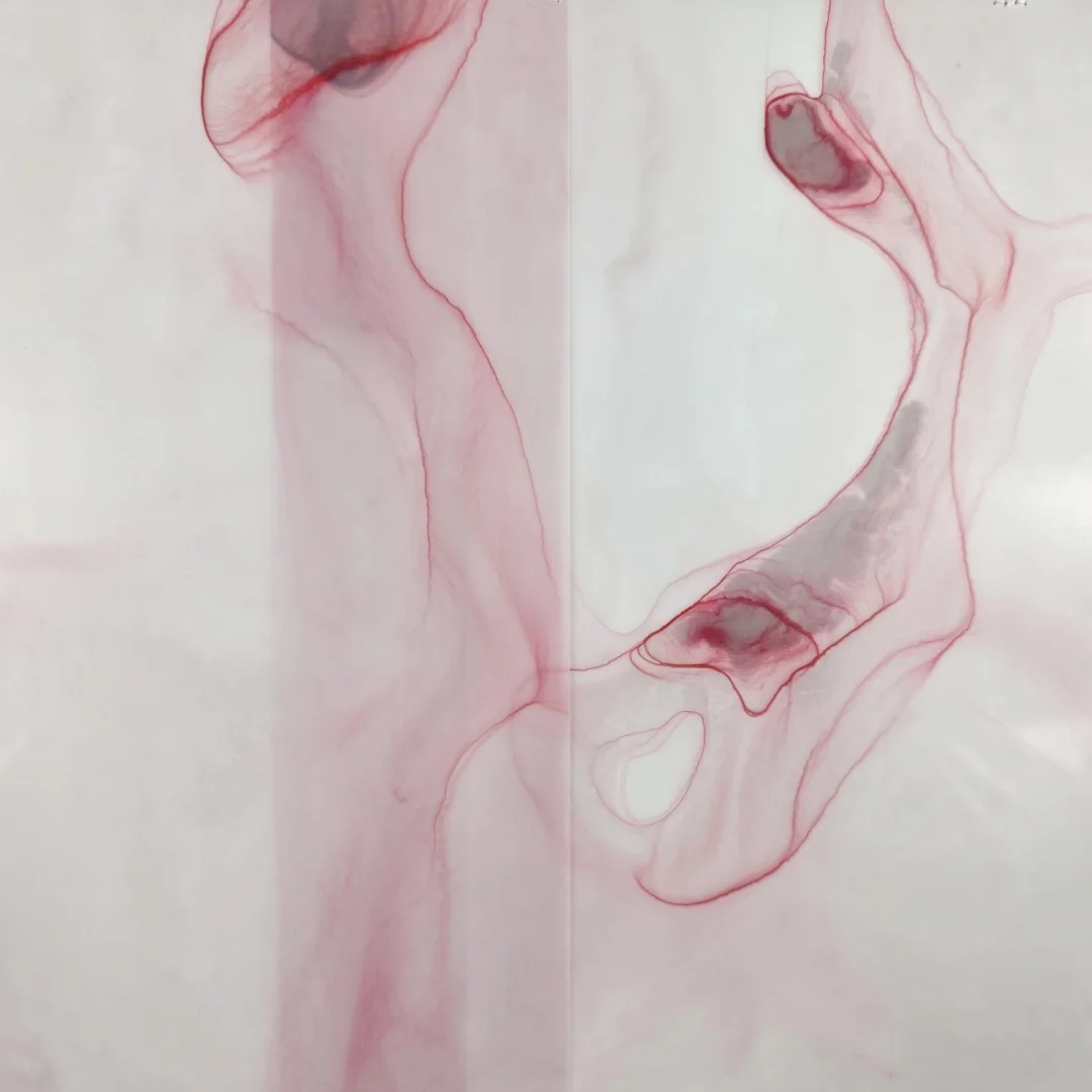  Dara Mark | Perylene #5 | detail 