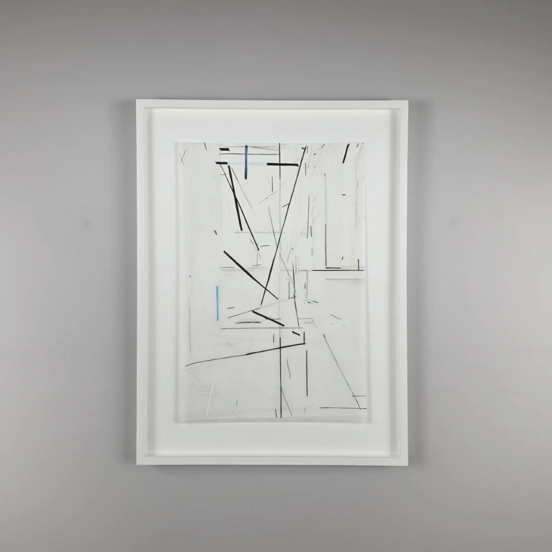  Eve Aschheim&nbsp; Precarious (AKA Bird Talk, Bird Roost)&nbsp; 2021&nbsp; 18 x 12 inches&nbsp; Gesso, black gesso, ink and graphite on mylar 