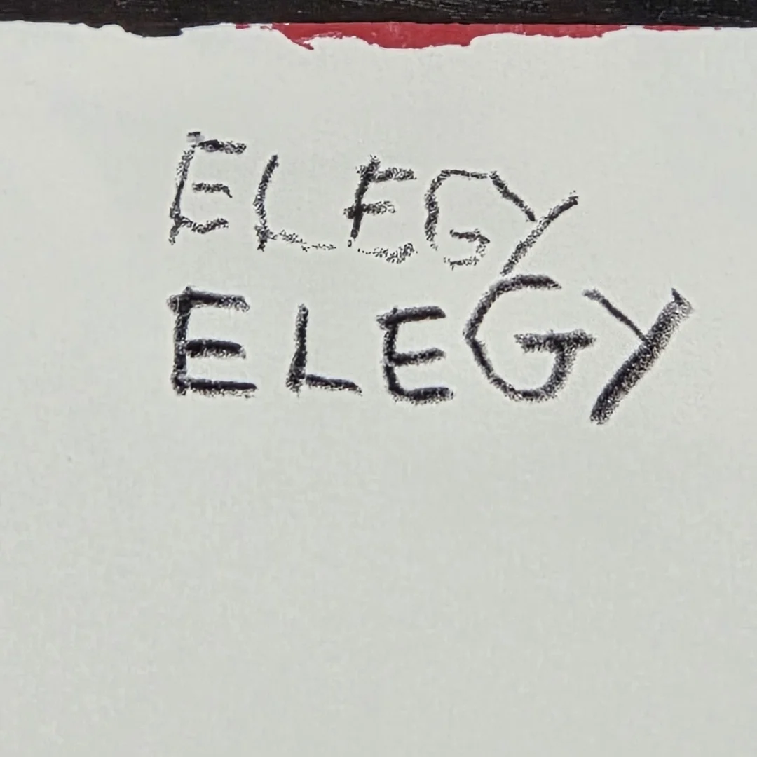  Harmony Hammond | Double Elegy | detail  
