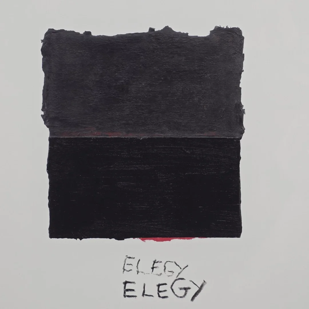  Harmony Hammond | Double Elegy | detail  