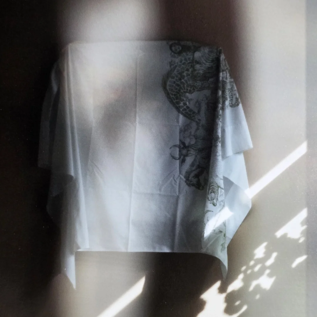  Kate Joyce | Watt or Fall, Window, Winter, Fallingwater | detail 