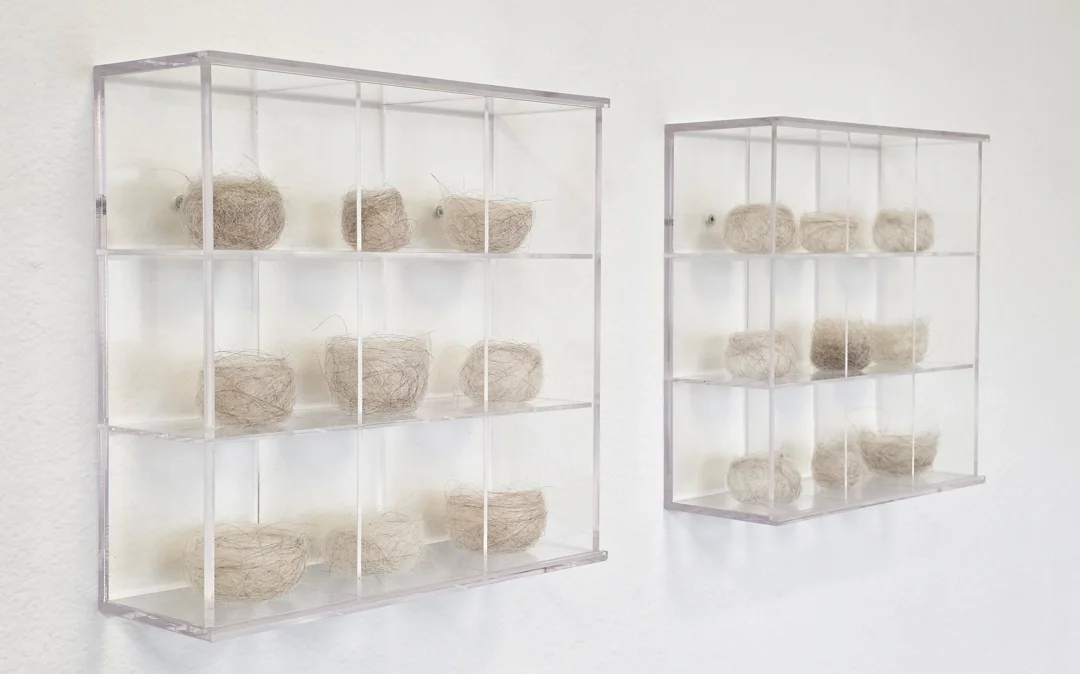  Diptych  2017-2026  29 ¼ x 11 x 4 inches collection of soft assemblies, hair 