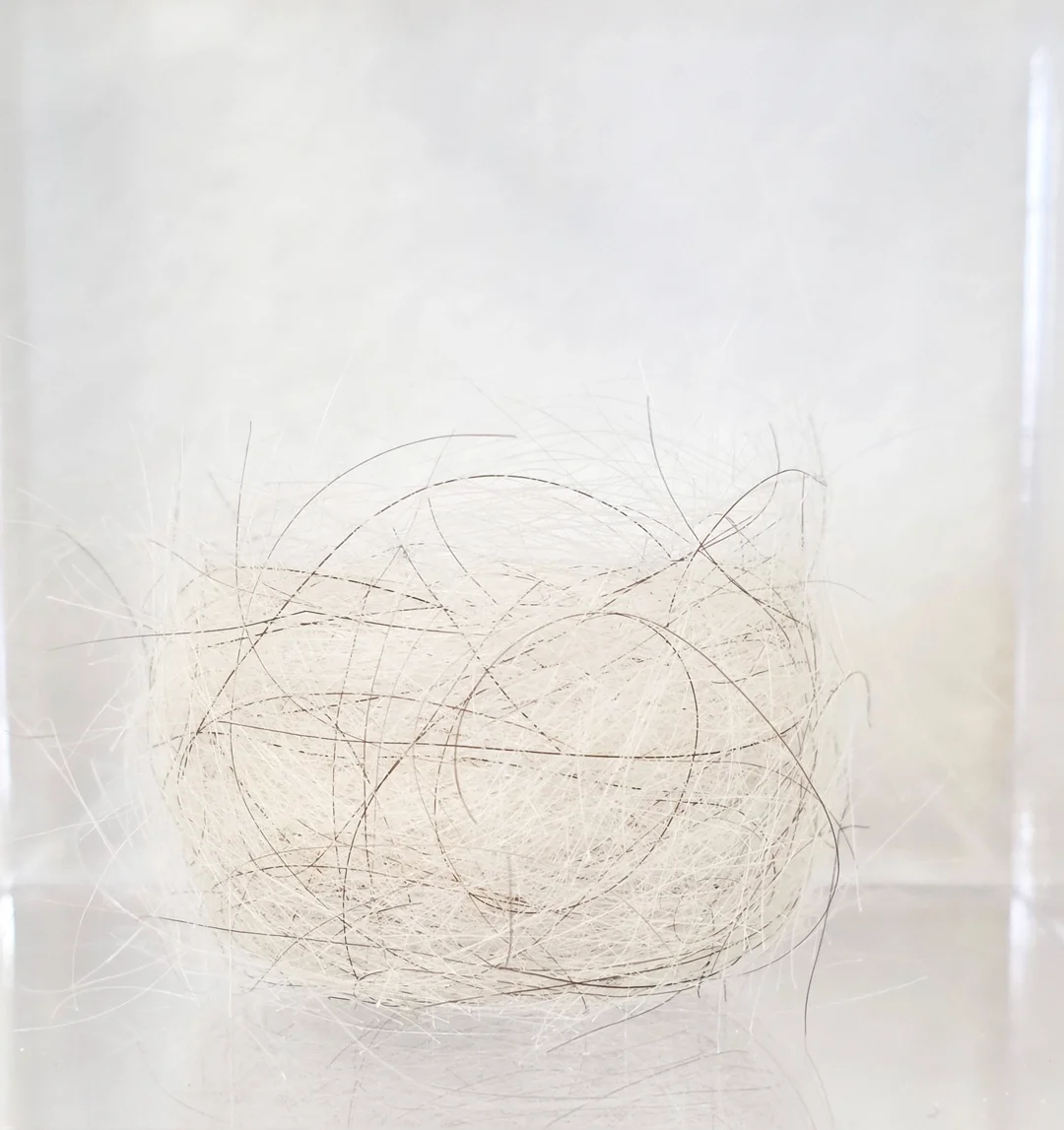  Diptych | detail 