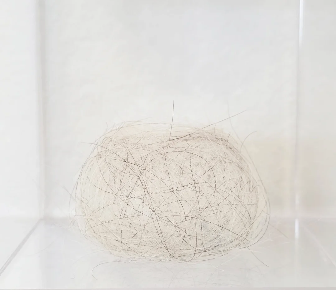  Diptych | detail 