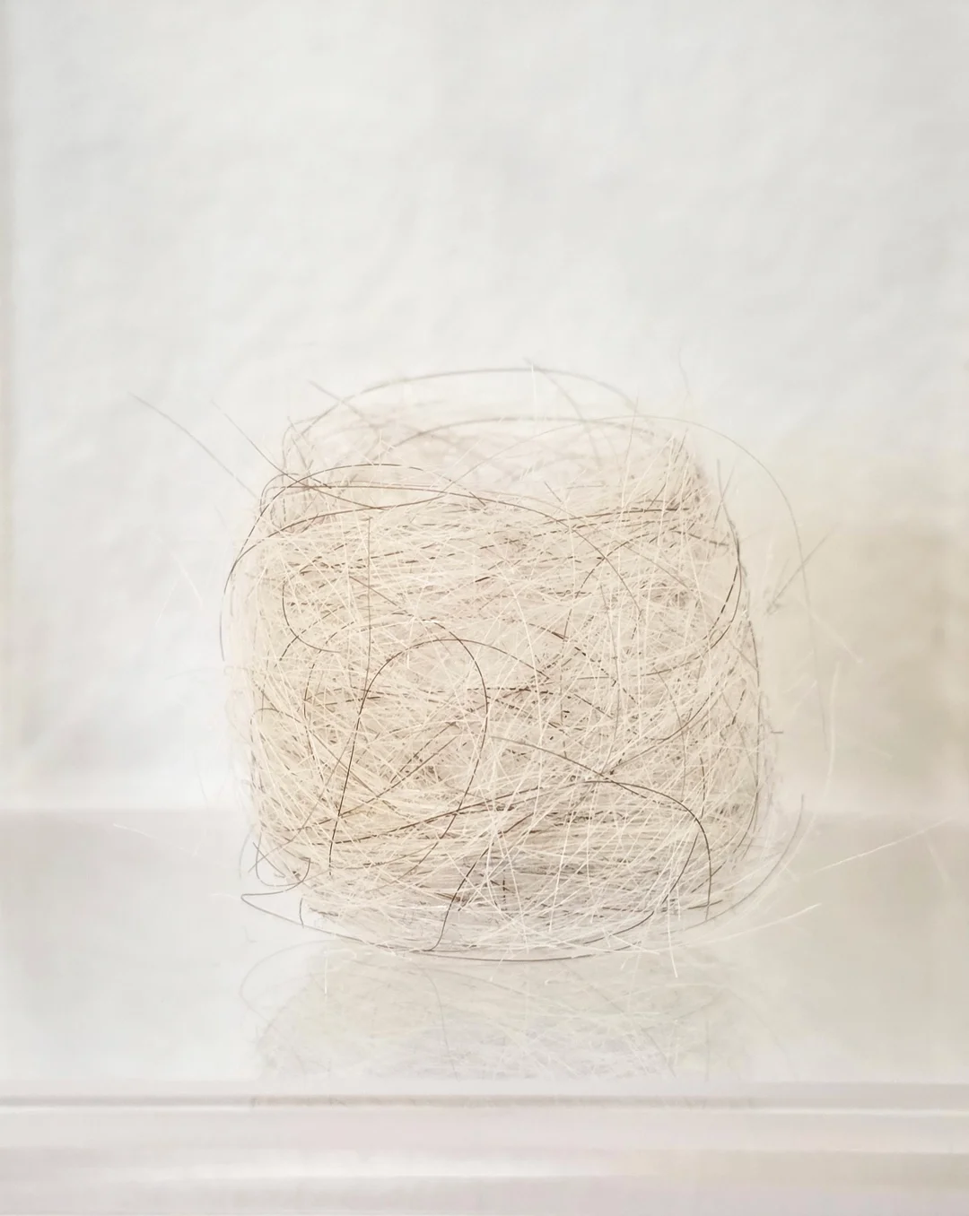  Diptych | detail 