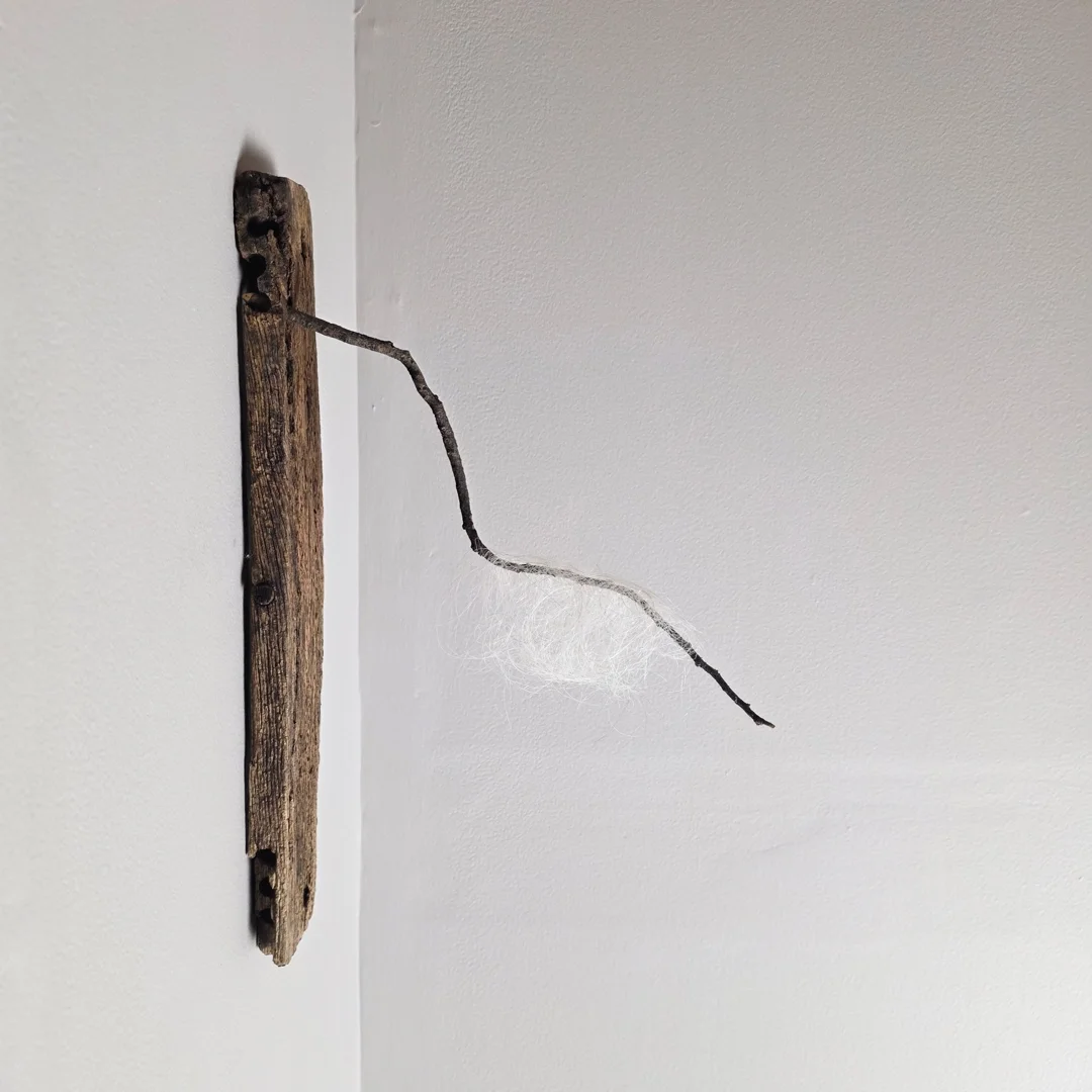  Hair Cloud on Twig 