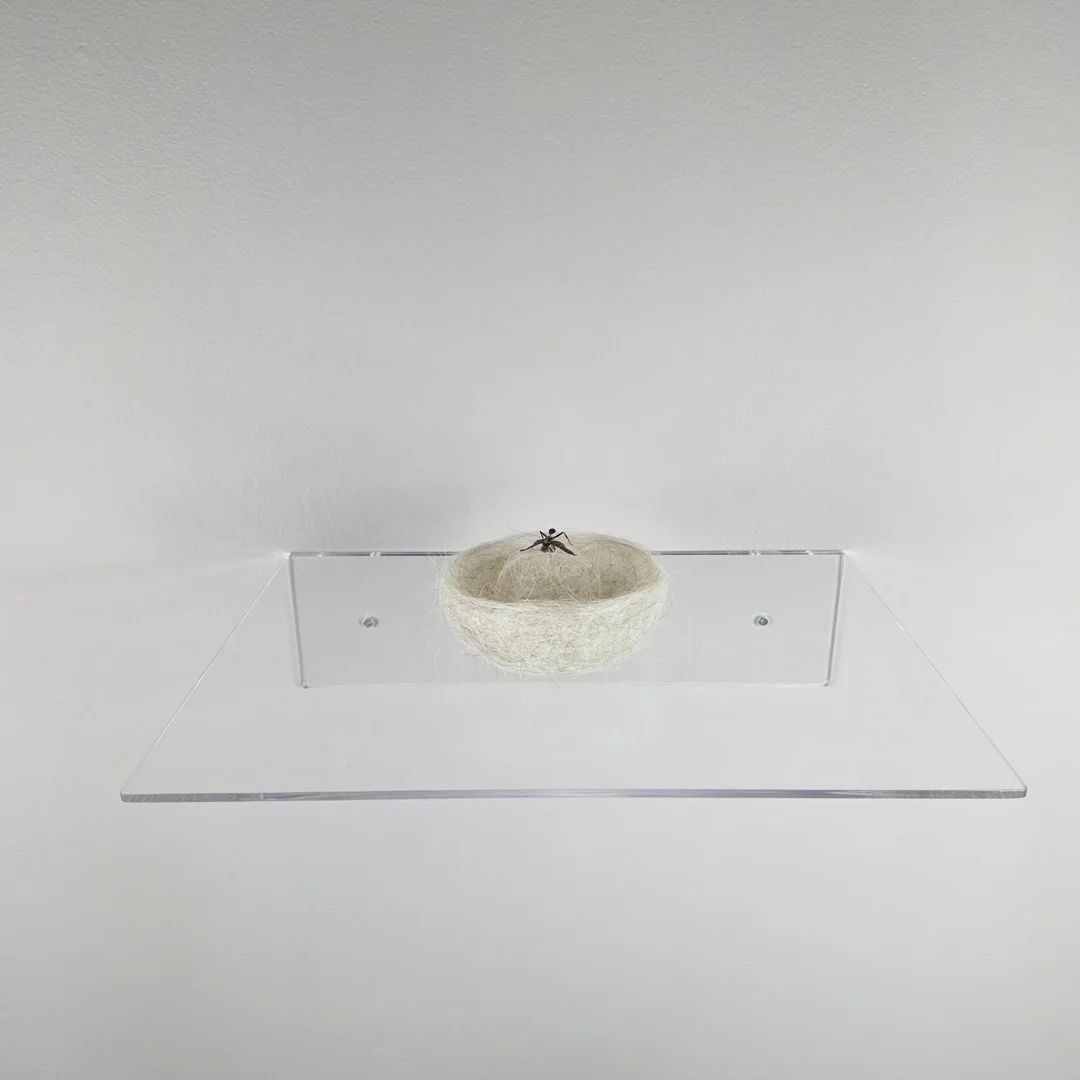  Nature Morte 2022-2026&nbsp; 2 ¼ x 5 x 4 ¾ inches soft assembly, hair, with common black insect 