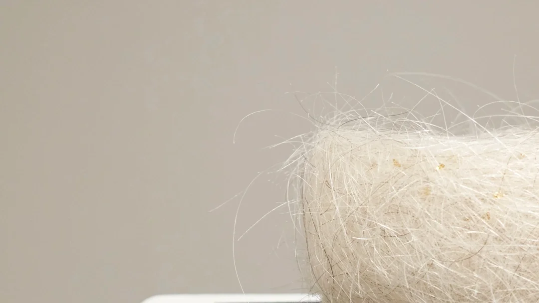  Offering Bowl | detail 