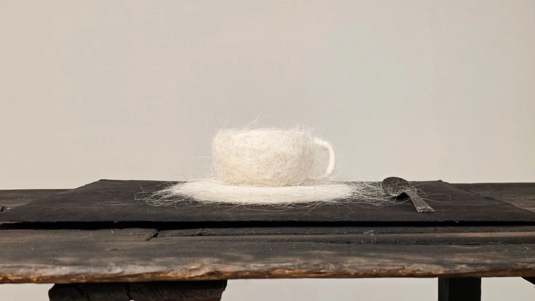  Oppenheim/Oppenheimer | detail 
