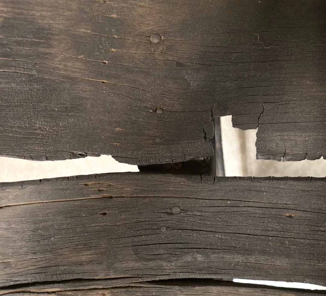  Oppenheim/Oppenheimer | detail 