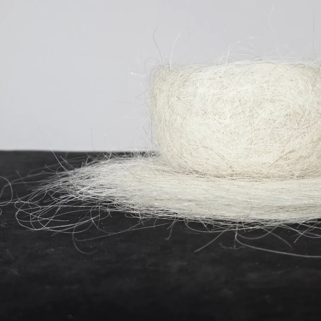  Oppenheim/Oppenheimer | detail 