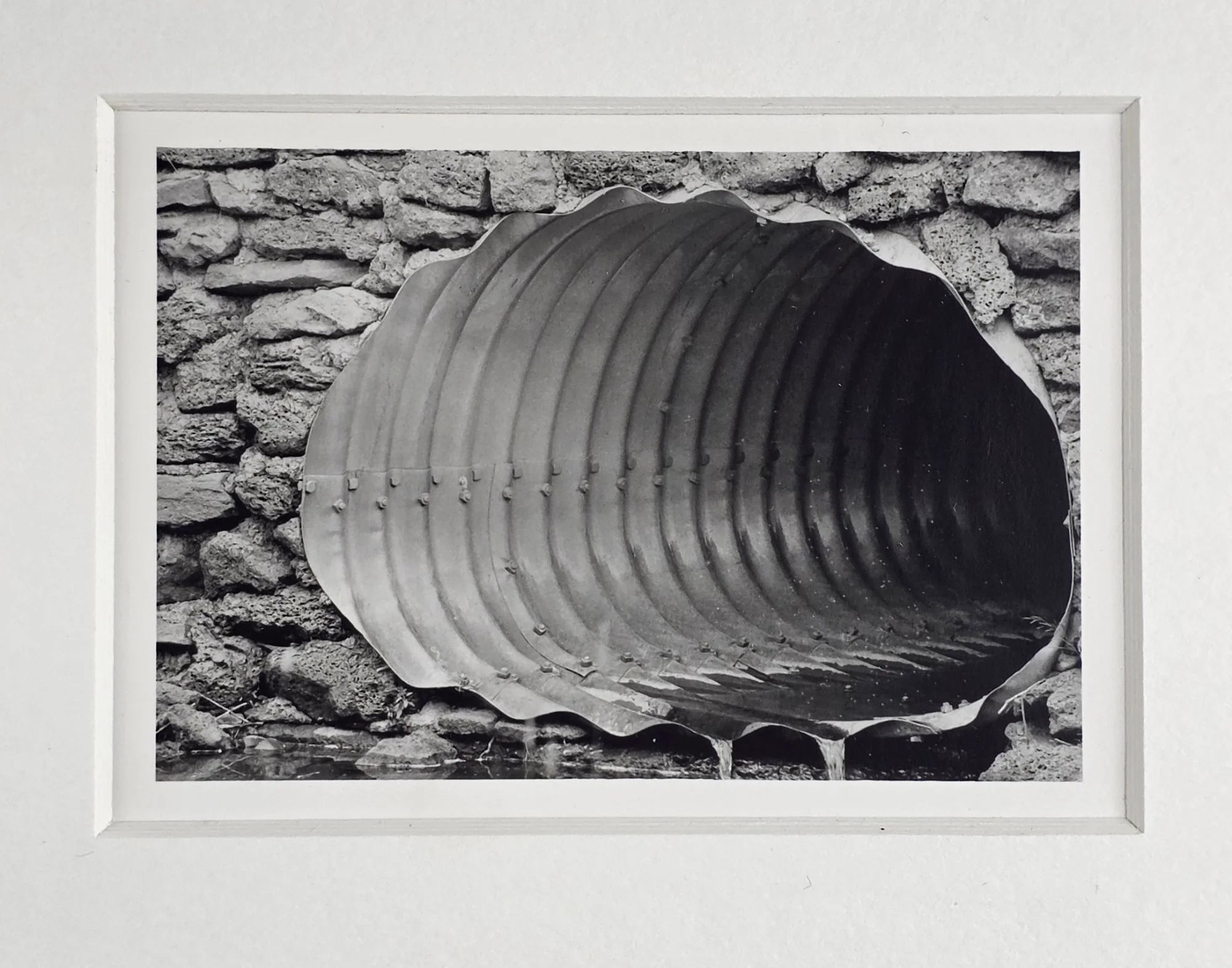  Desiree Manville | Culvert 