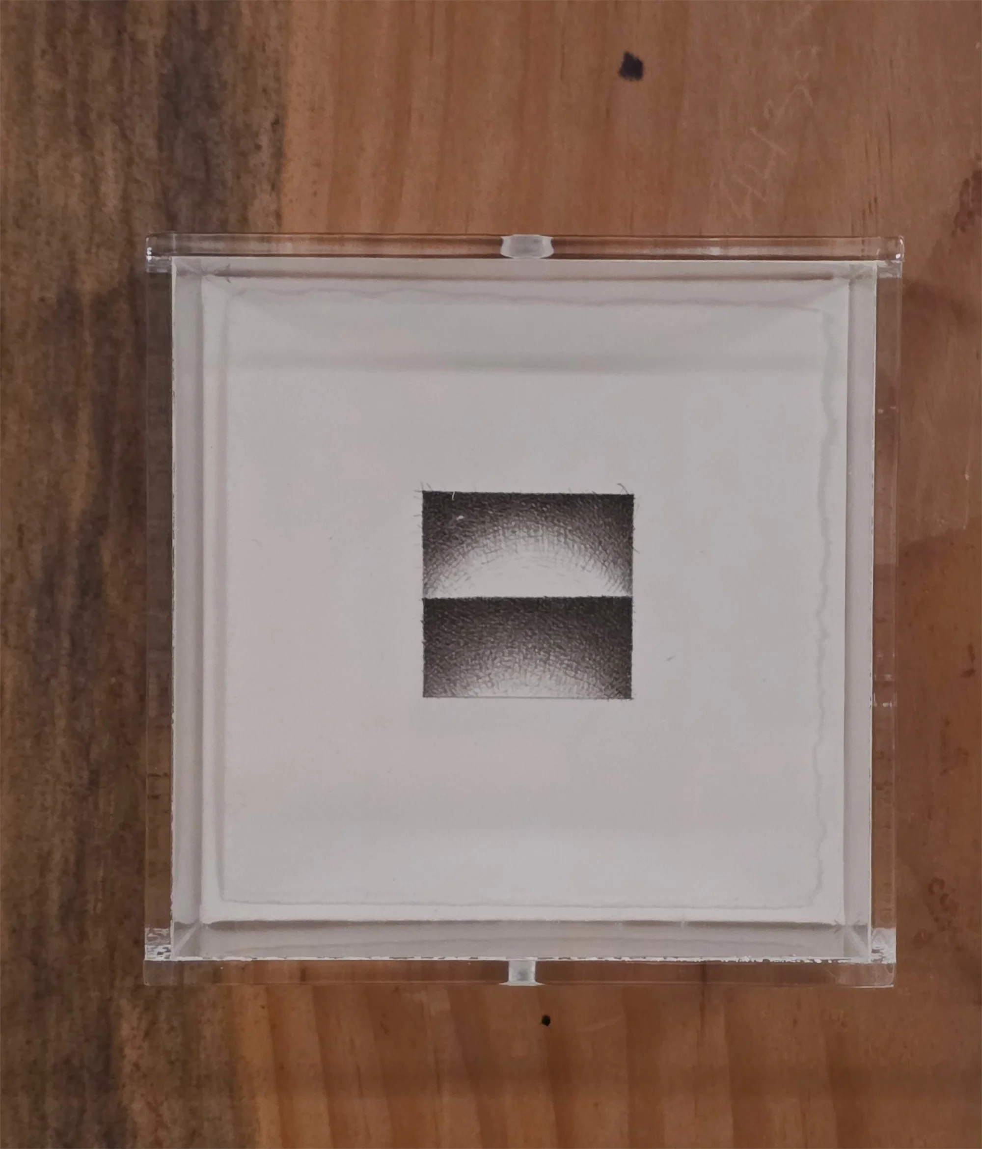  Christine Taylor Patten 209 AD 1997 to 2000 3 ½ x 3 ½ inches Crowquill, ink, paper 