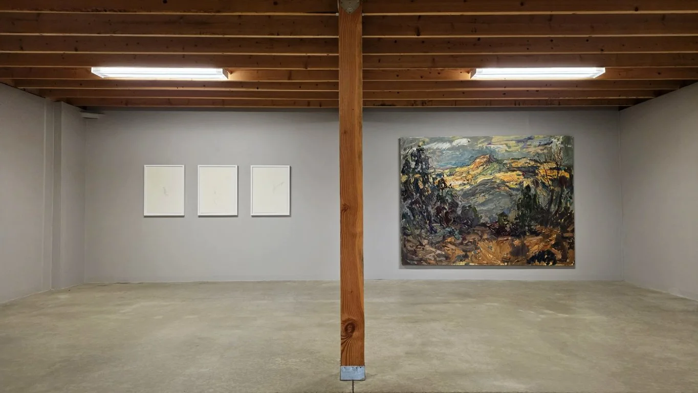 paintings drawings install -  (1) (Medium).jpg