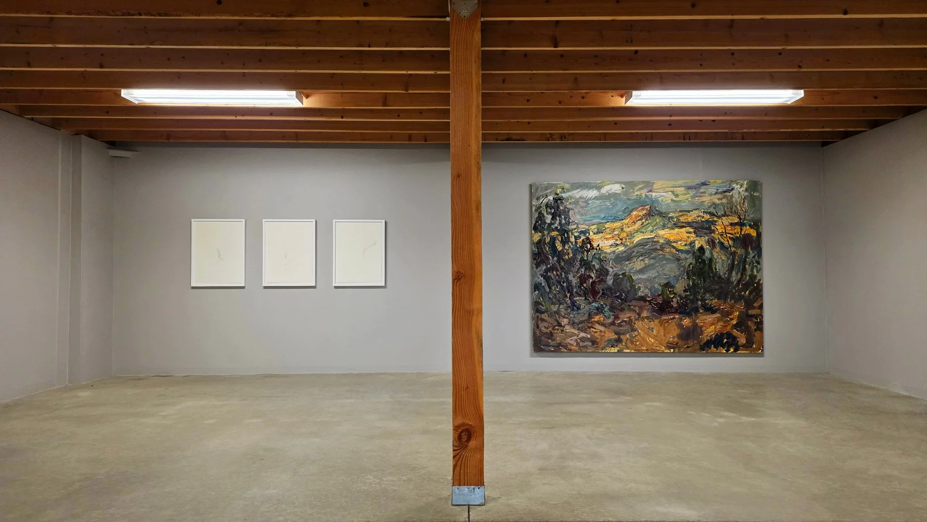 paintings drawings install -  (1).jpg