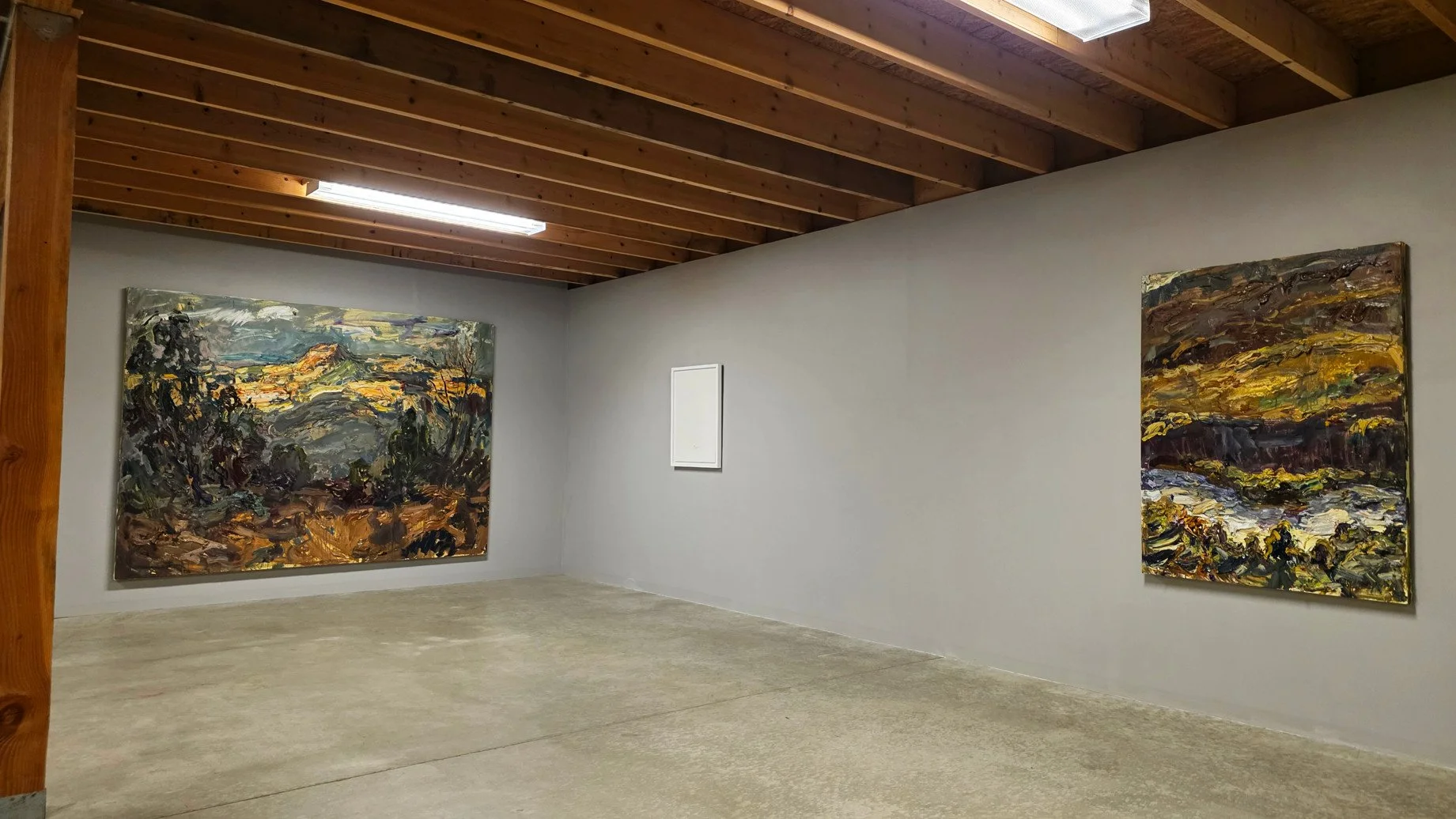 paintings drawings install -  (51).jpg