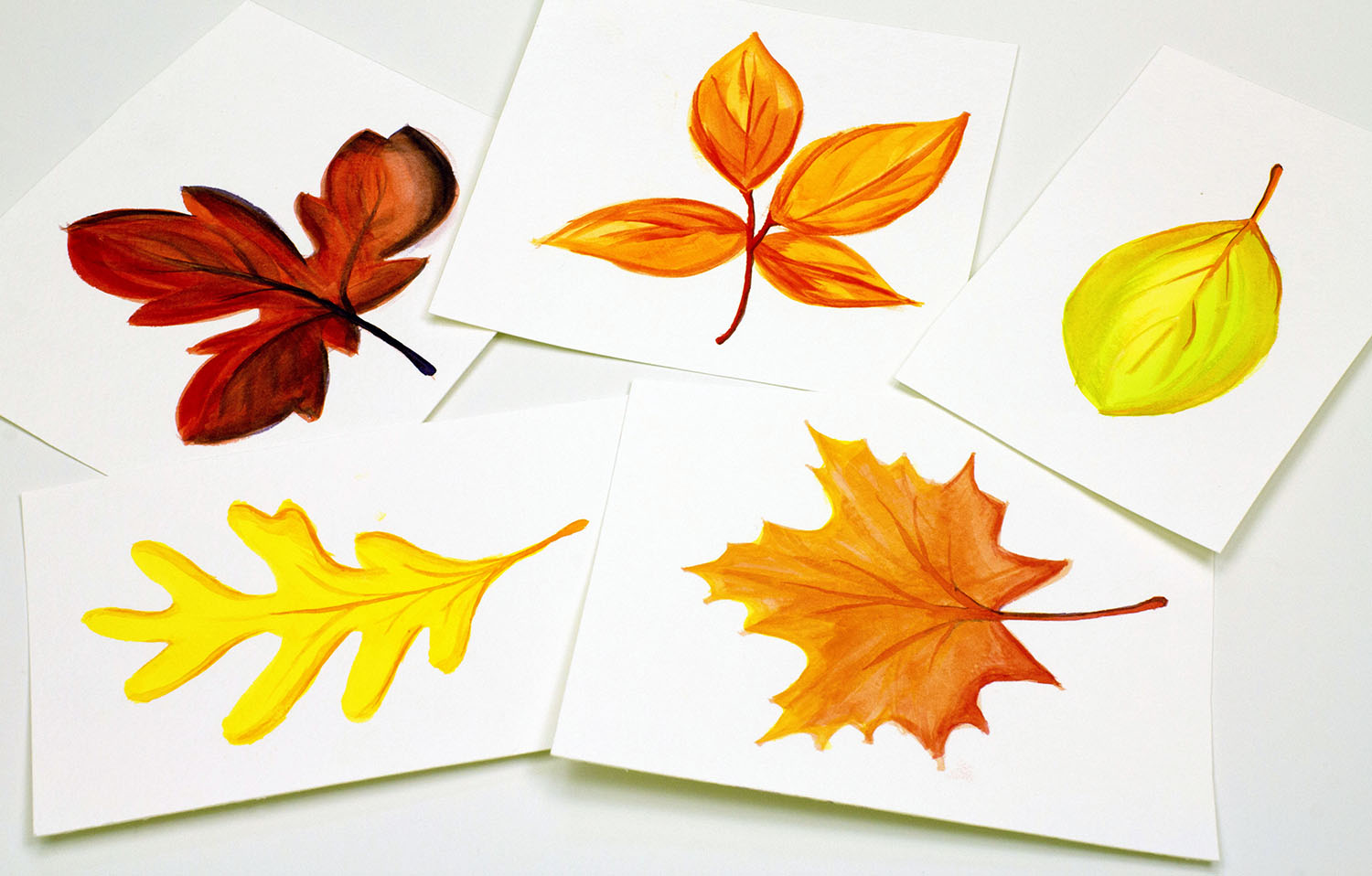 Watercolor Leaves