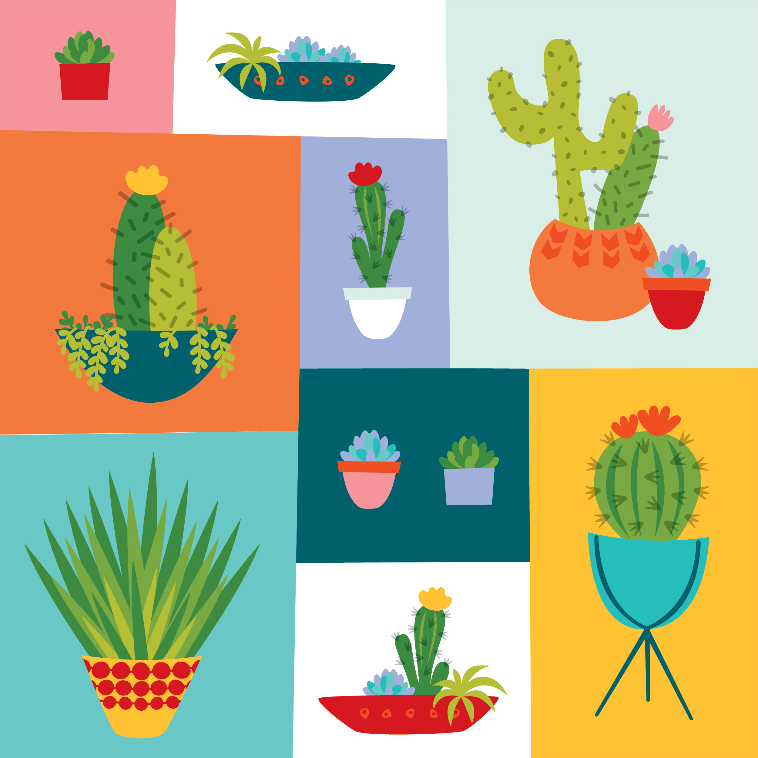Cactus Illustrations