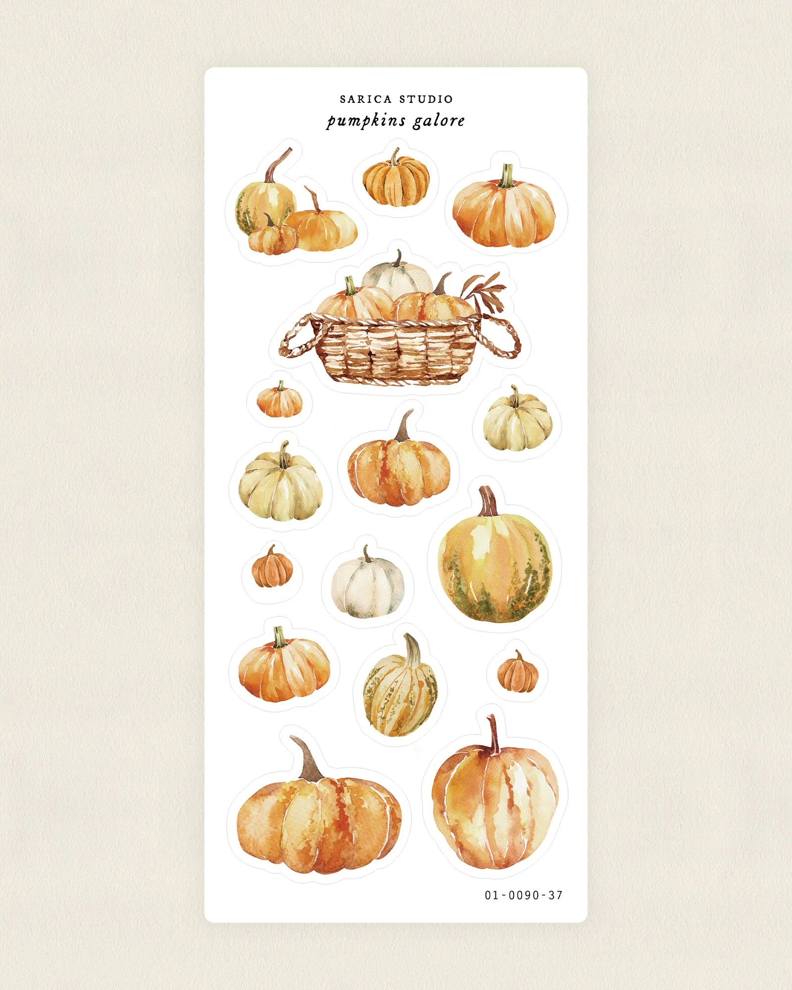 Pumpkins Galore