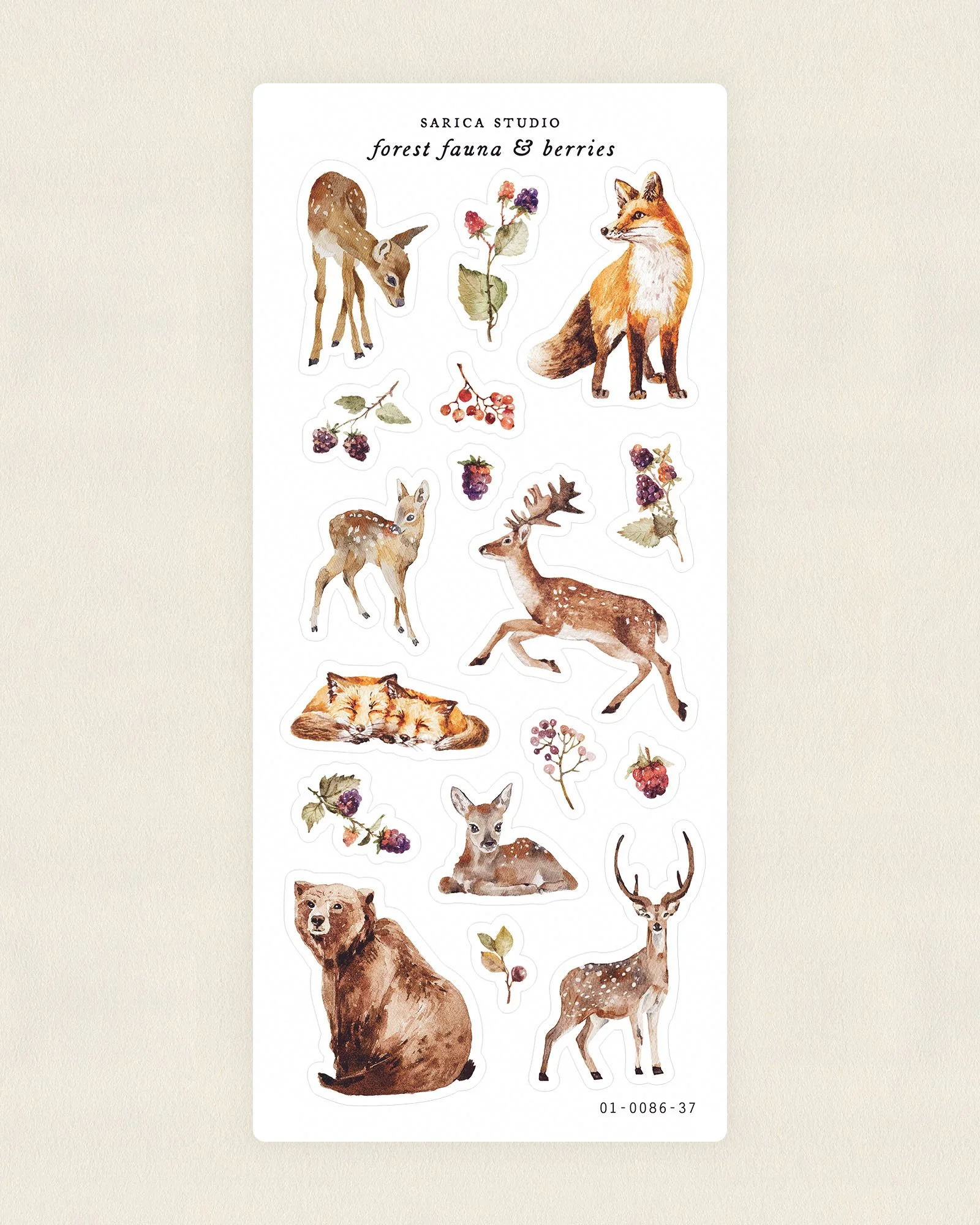 forest-fauna-berries-stickers-thumbnail-sarica-studio.jpg