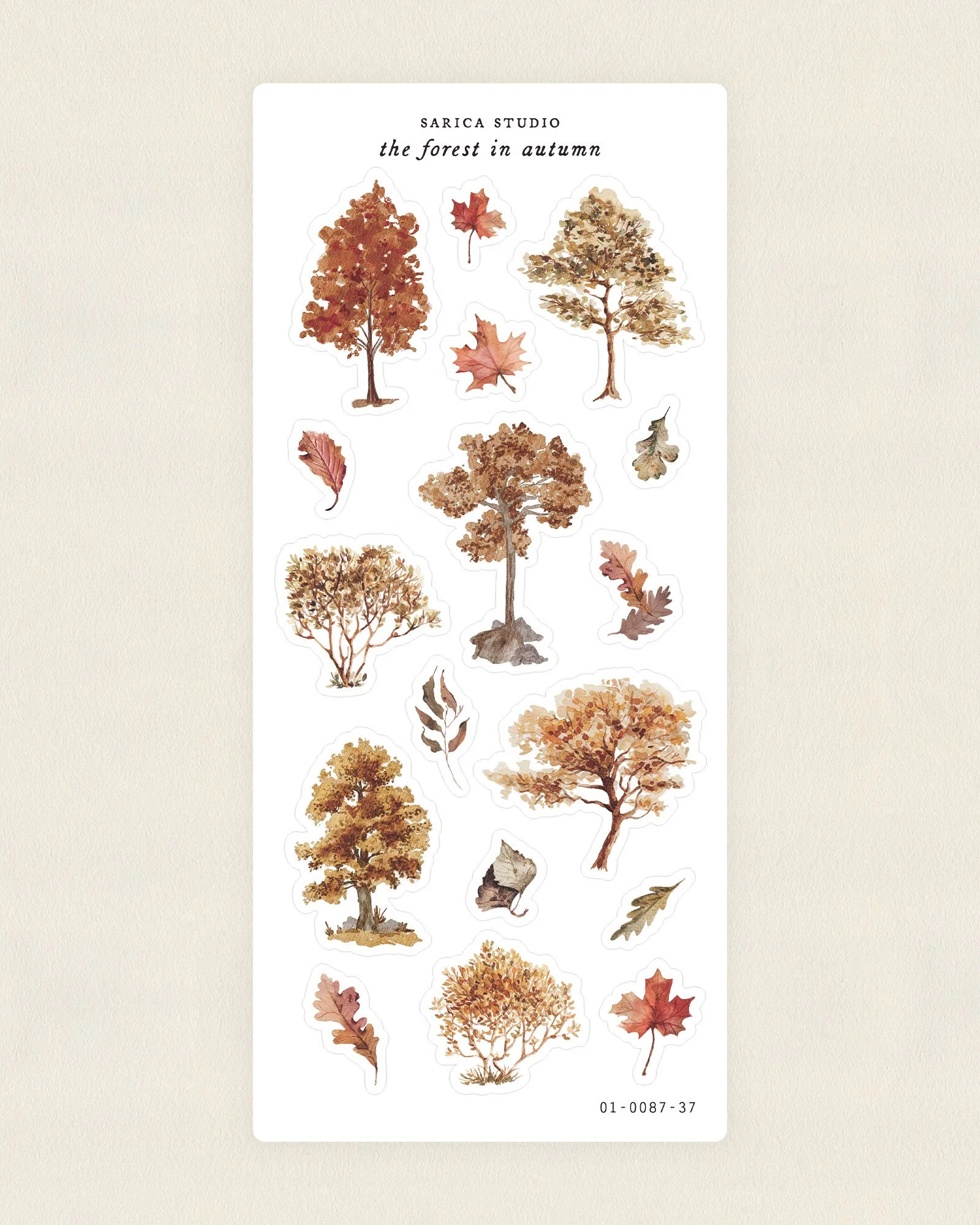 The Forest in Autumn