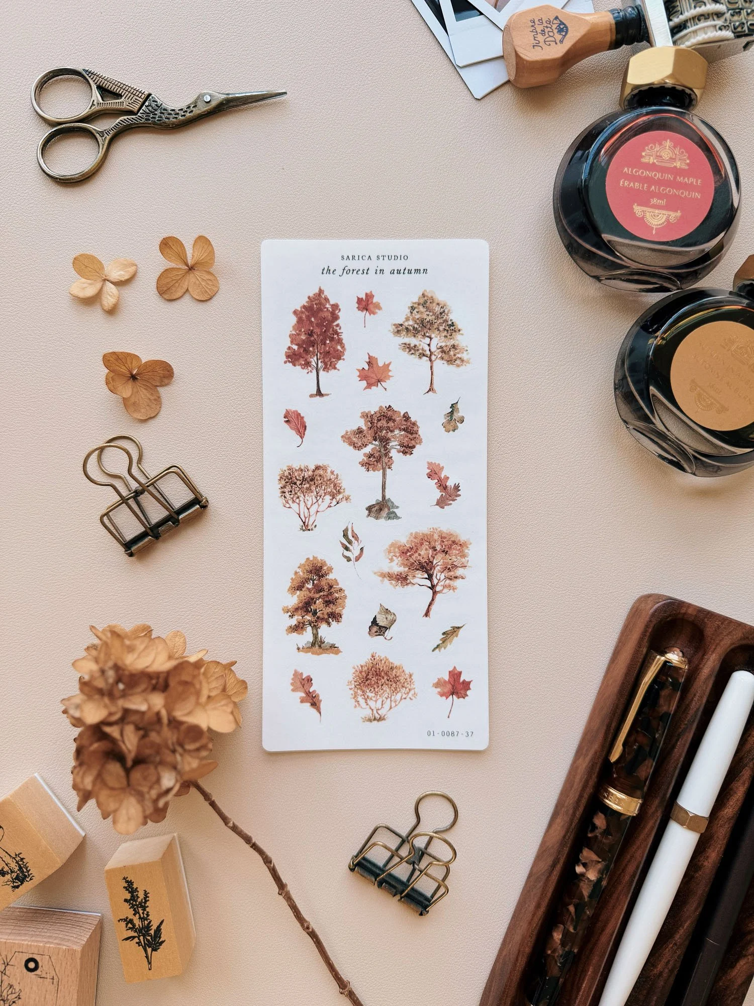 forest-in-autumn-stickers-sarica-studio-01.jpg