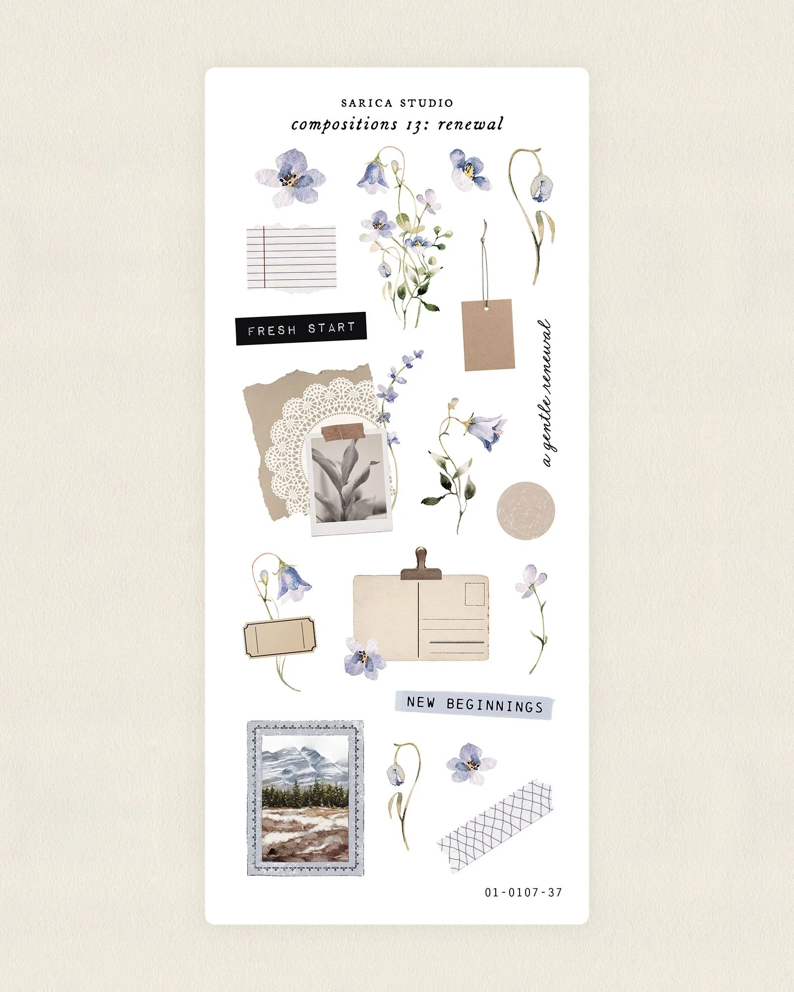 Compositions 13: Renewal