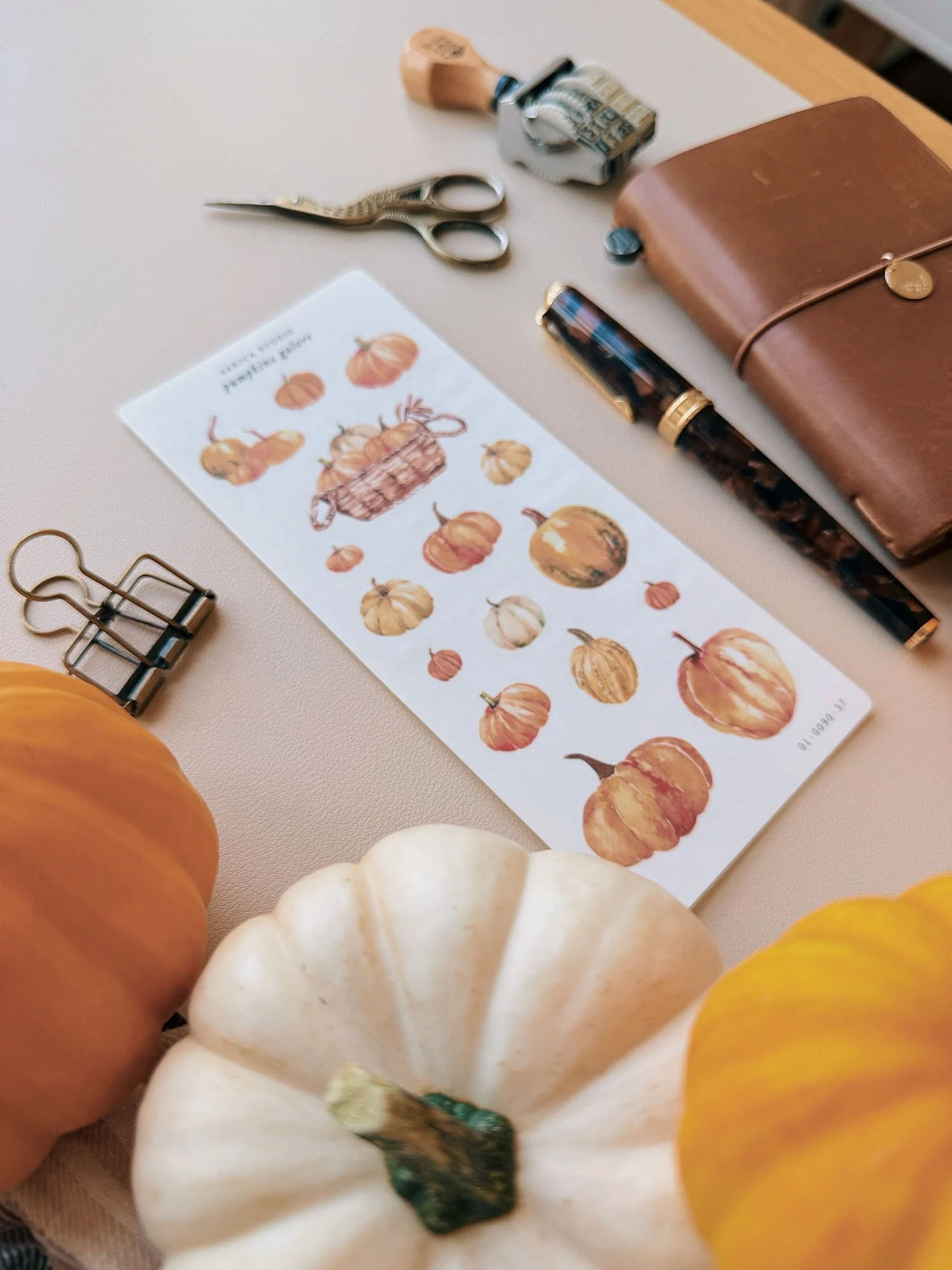 pumpkins-galore-stickers-sarica-studio-04.jpg
