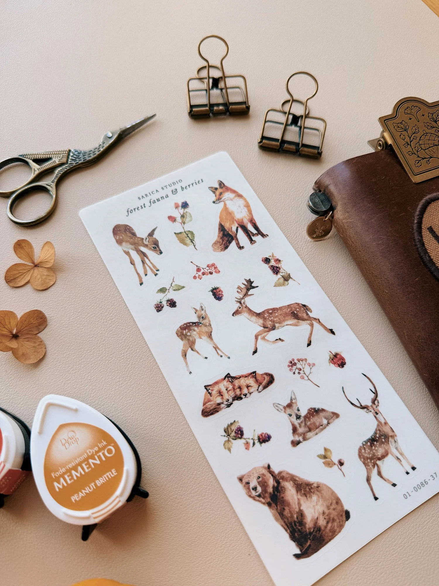 forest-fauna-berries-stickers-sarica-studio-02.jpg