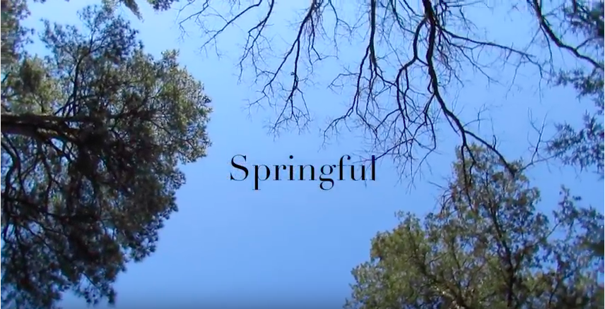 Springful