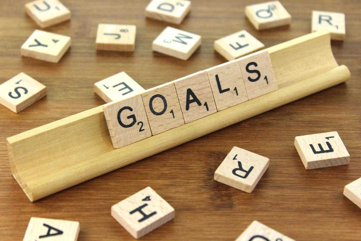 2018-2019 Goals