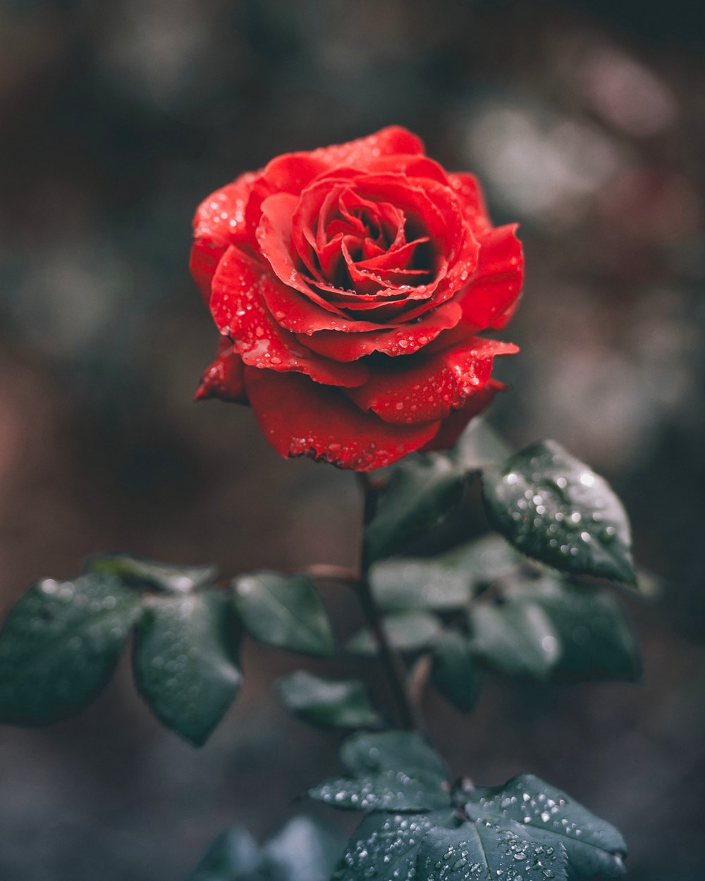 In College While Being a Virgin