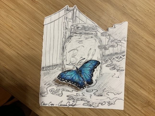 The Pandering of Urban Conservation