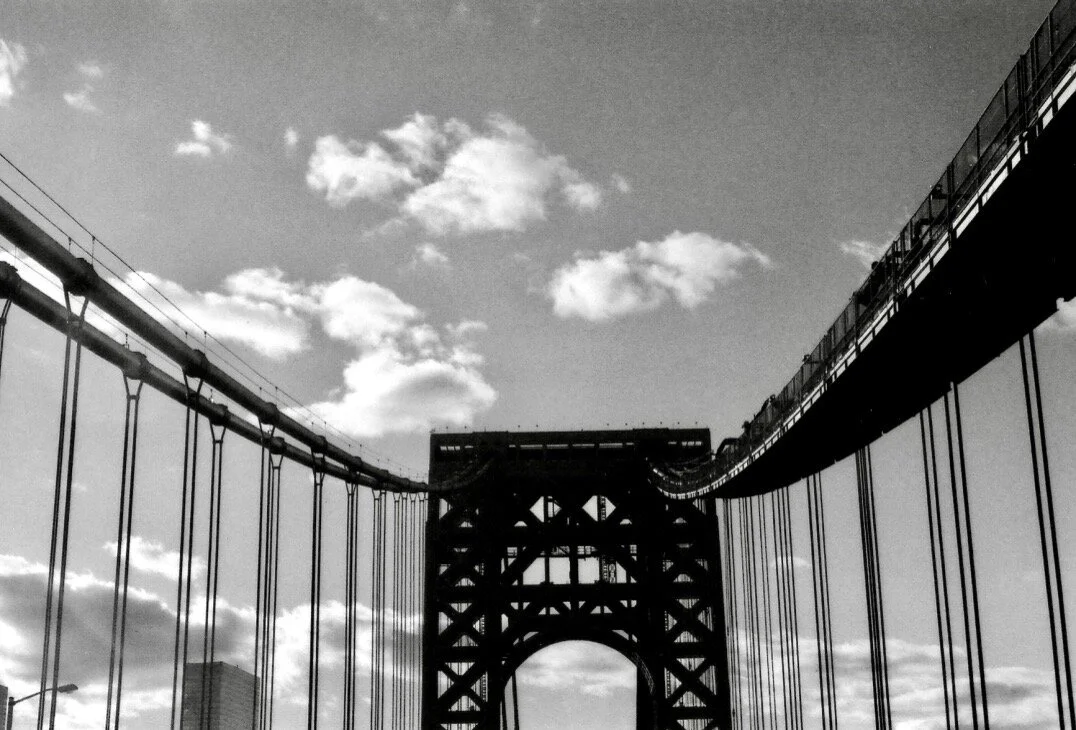 img009 - Zadie Stevens-Telesford.jpeg