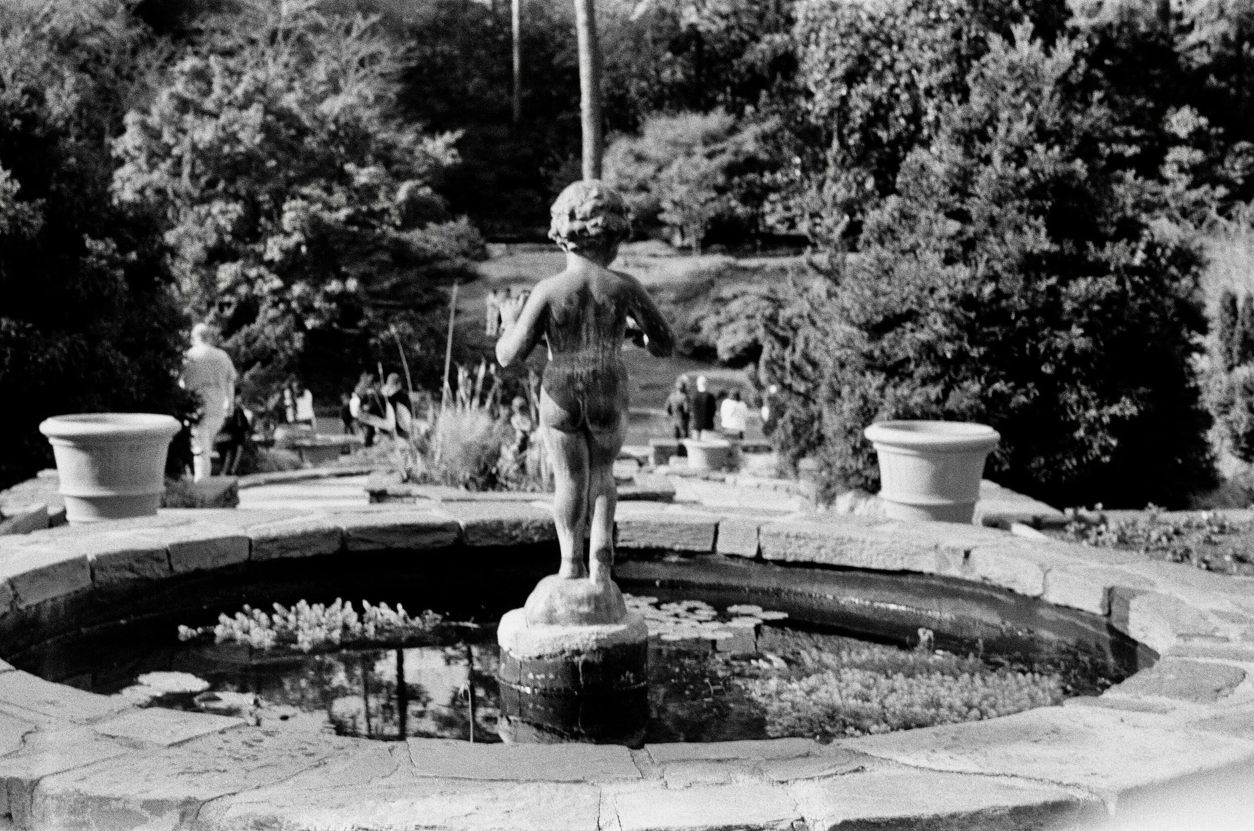 IMG_4551 - Zadie Stevens-Telesford.jpeg