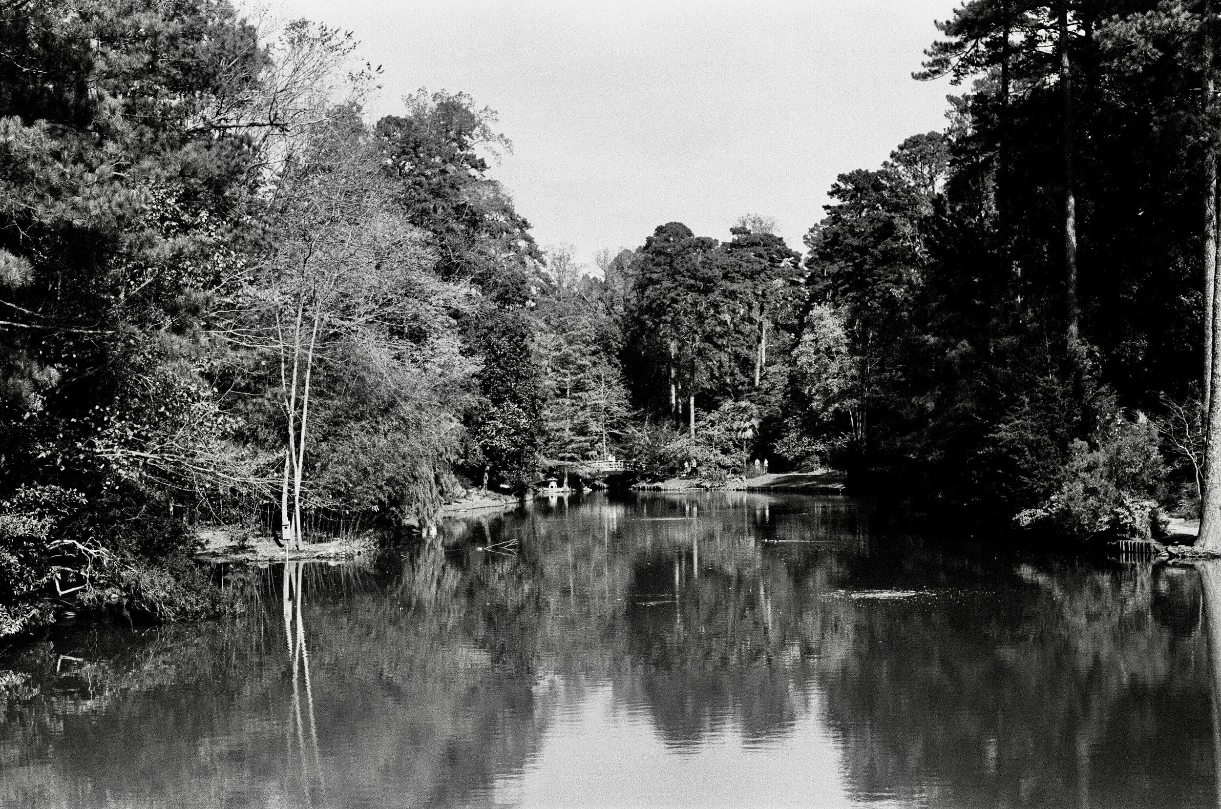 IMG_4560 - Zadie Stevens-Telesford.jpeg