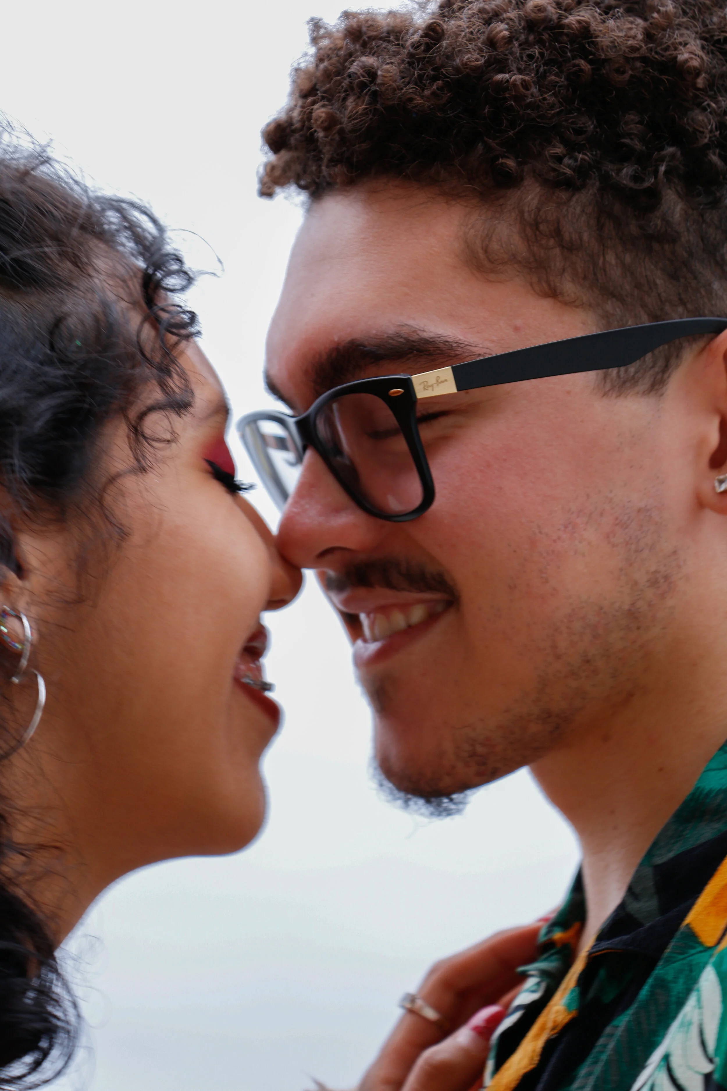 Black &amp; Brown Love Series: Dani &amp; Dariel