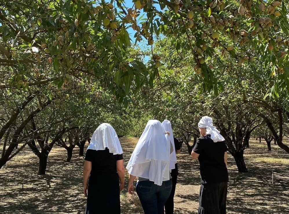 We Need to Talk About the Weed Nuns