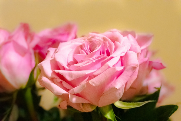 On Being My Own Valentine