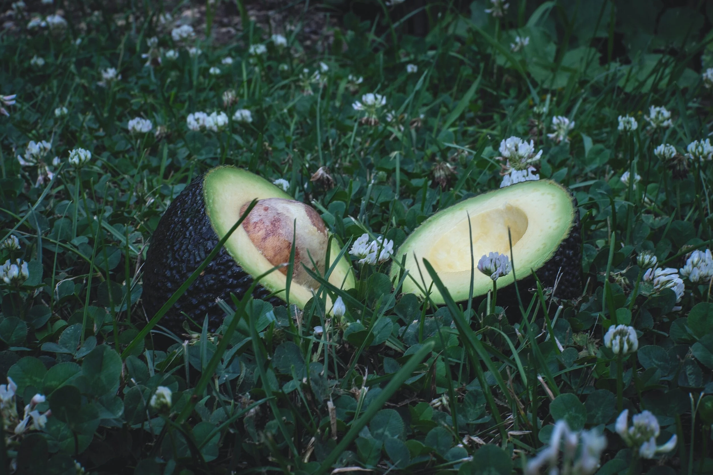 Quilt, Balloon, Avocado