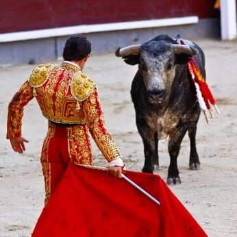 I Watched A Bullfight in Spain