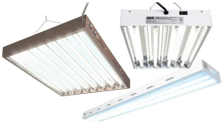 T5 Lighting