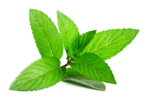 peppermint.jpg