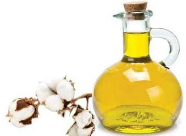 cottonseed oil.jpg