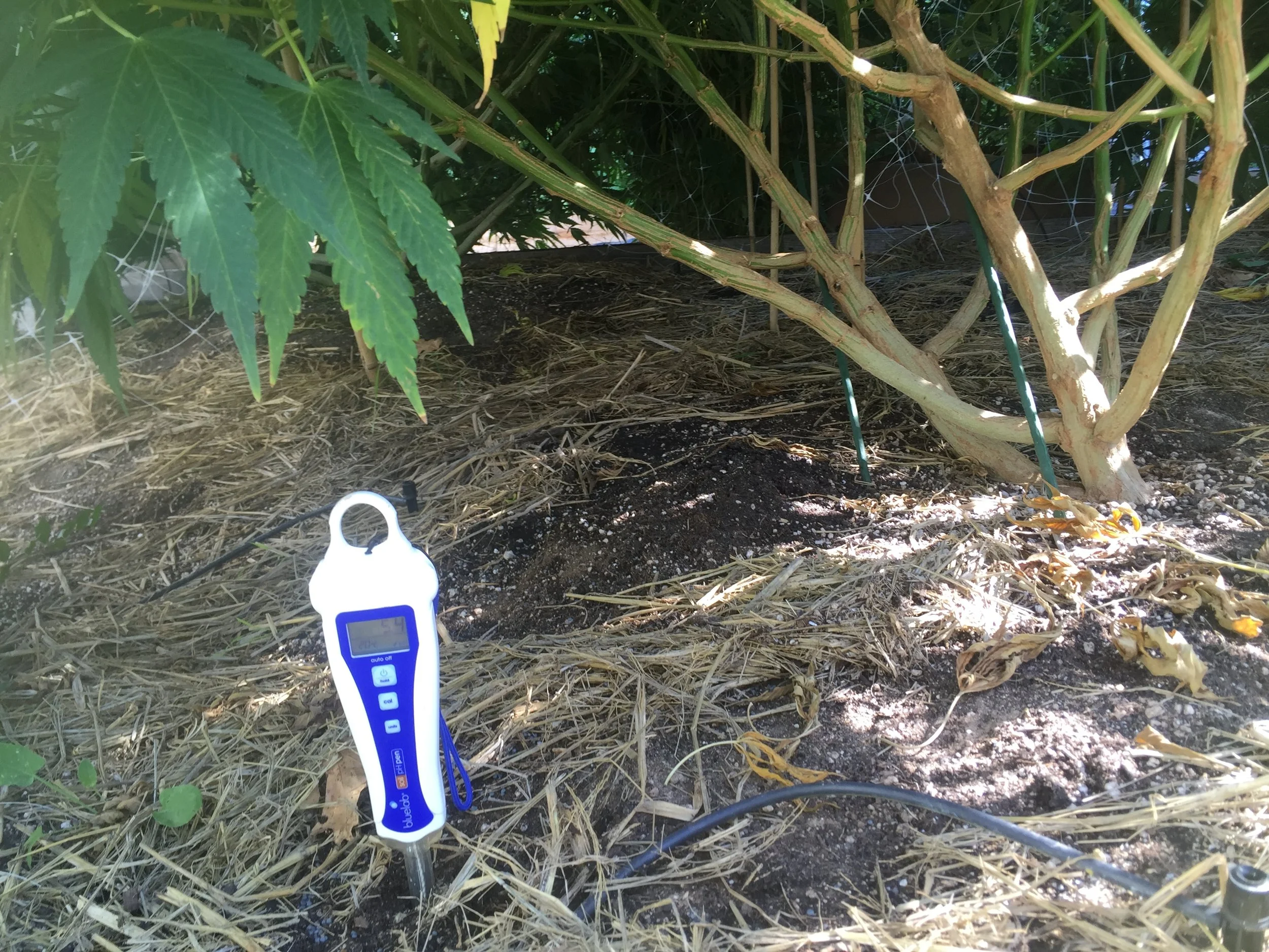 Soil pH testers are great tools for a farmer