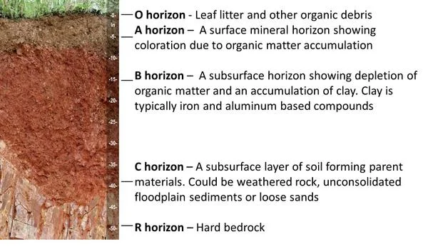 soil horizon.jpg